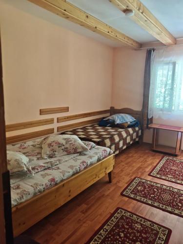 14 Scaune Casoca Tudose in Lunca Jariştei
