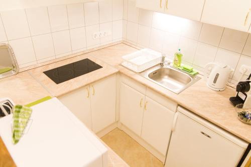 Authentic Klauzal Apartment, Budapešť (fotografie 9)
