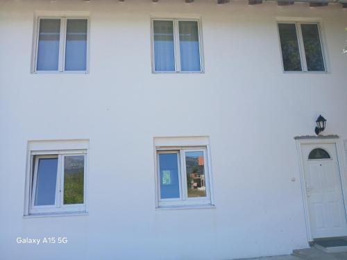 Radovici Family House