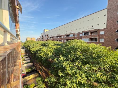 ACV - Playa Coral I-2ª linea planta 4 sur