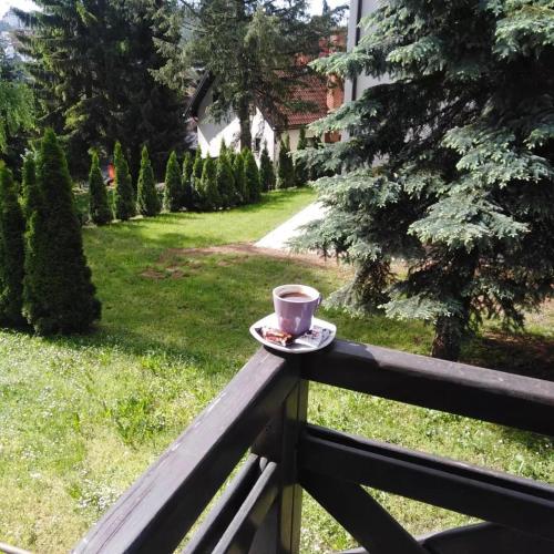 Frida cozy central stay with garden view 2