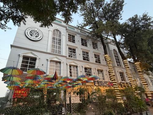 THREE TREE Signature Hotel-G7 Markaz Islamabad
