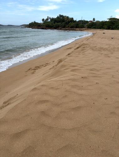 Island Breeze Studio A Coastal Arecibo Retreat in Arecibo