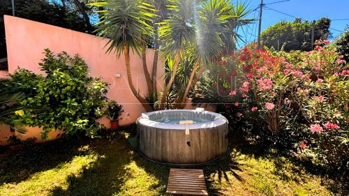 Vrt, Villa Mitoyenne authentique avec Jacuzzi et Jardin - PALMAZUR VACANCES in Mandelieu-la-Napoule Center