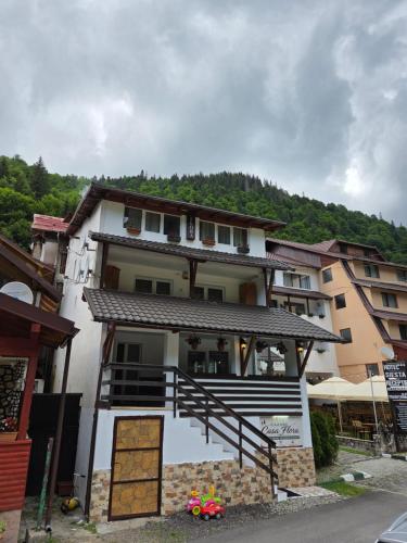 . Pensiunea Flora TransFăgărășan