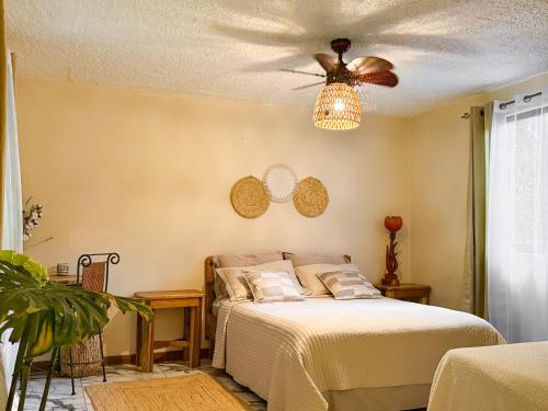 Hotel Boutique Casa Mambo – Cahuita, LA