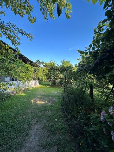 Zeynal Guest House in Qax