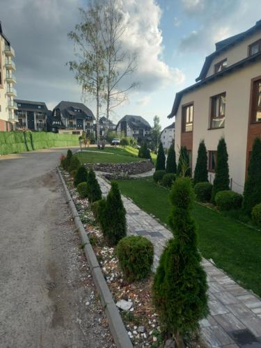 Košuta