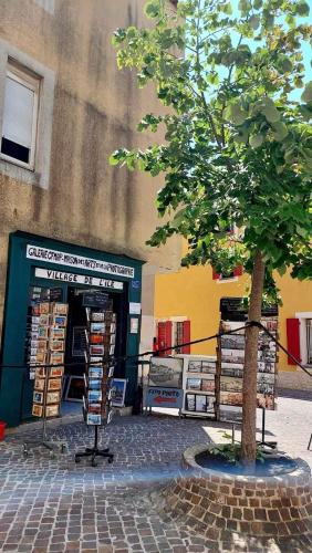Sur une ile mais en Provence - Location saisonnière - Martigues