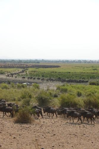 Amora Homestay and Safaris in Karatu