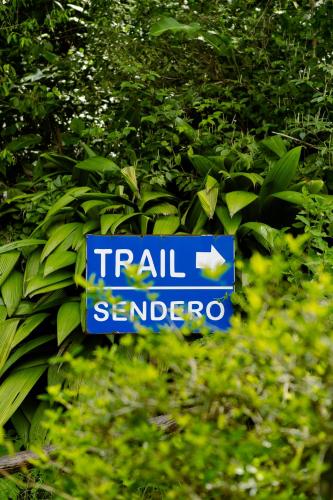 Untold Arenal - Rainforest Suites - image 3