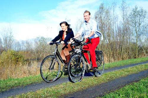  B&B Cosy Cottage in Dendermonde