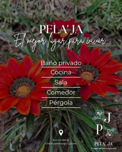 Pela' Ja' in Chichicastenango