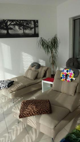  Modernes 3-Zimmer-Apartment nahe Graz in Gratkorn