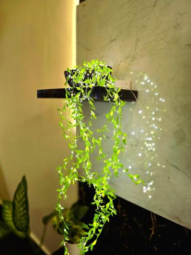 Purple Door - Luxurious 1 BHK - image 2