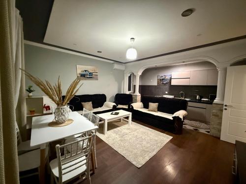 LuxuryHomeUlcinj1