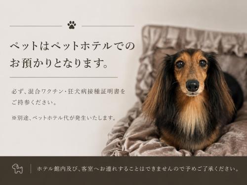 Hotel Platanus Shin Yokohama Room Type - Standard Twin Room