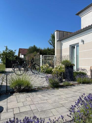 Sports and activities, Residence Blanc Suites - Private Ferienresidenz mit Pool & Garten in Atting