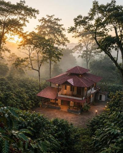 Rain forest estate stay up stairs cofea eastate - Coorg Rain forest estate stay up stairs cofea eastate - Coorg