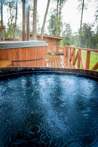 Los Lingues Lodge in Puerto Octay