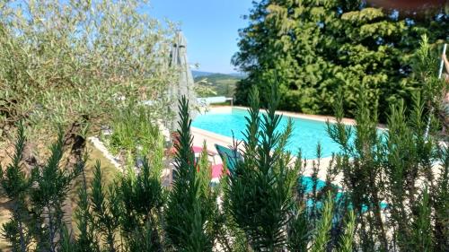 . Le gîte du mas avec piscine