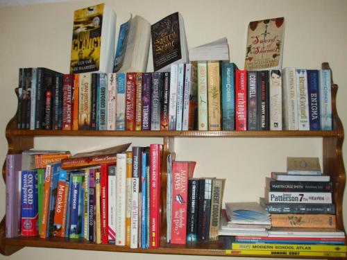 棕榈树宾馆 棕榈树宾馆