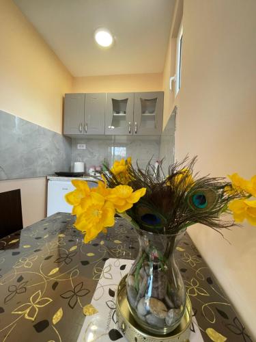 Apartman Petko - Location saisonnière - Križevac