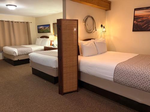 3 queen beds, 1 sofa bed