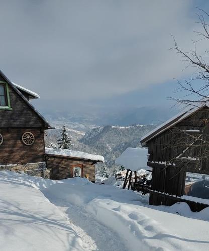 Casa dinApuseni in Scarisoara
