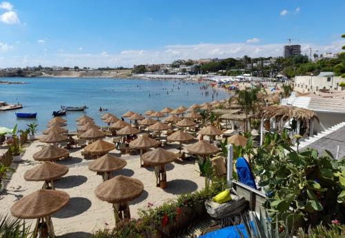 Levante, Trani
