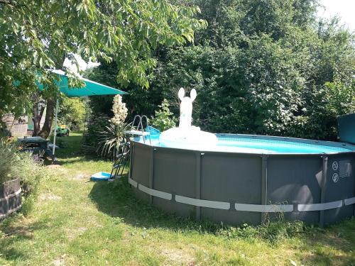 Dārzs, Tiny house with big pool! in Rossum (Gelderland)