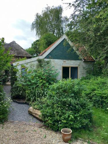 Tiny house with big pool! in Rossum (Gelderland)