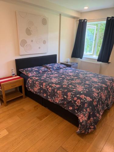 Cozy Room in Modern Apartment - Perfect Location 2