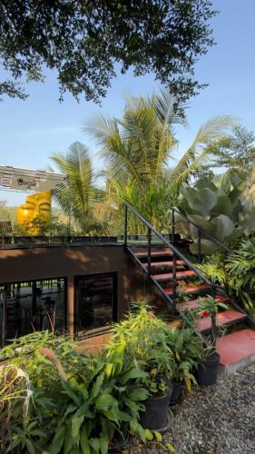 Svarna Padi in Purwosari