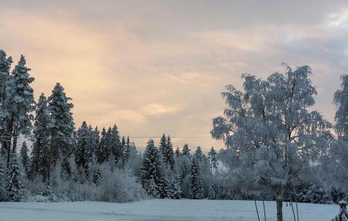 Vista exterior, 2 Bedroom Cozy Apartment In Braskereidfoss in Elverum