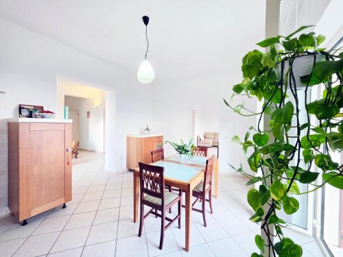 köök, AA Guest - Caiazzo Mountain Views Eco Apartment in Caiazzo