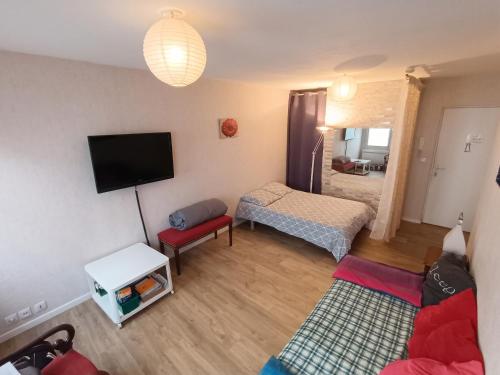 Studio charmant à Clermont-Ferrand, 31 m²