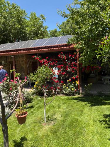 Exterior view, Yvette B&B in Garni