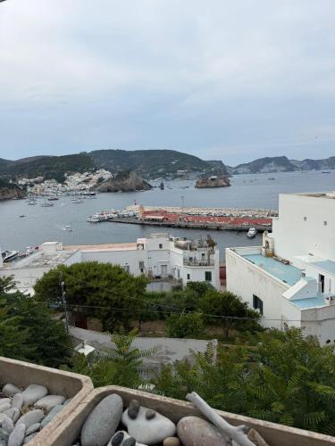 Agenzia Arcipelago Murene R