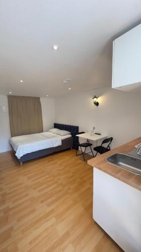 Modern Mini Apartment in 비렌토프타