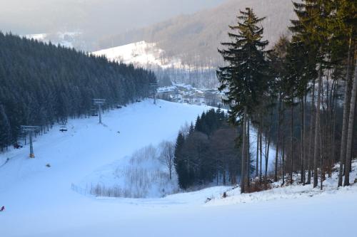 Sport és szabadidő, Horsky Apartman Kouty in Loucna Nad Desnou