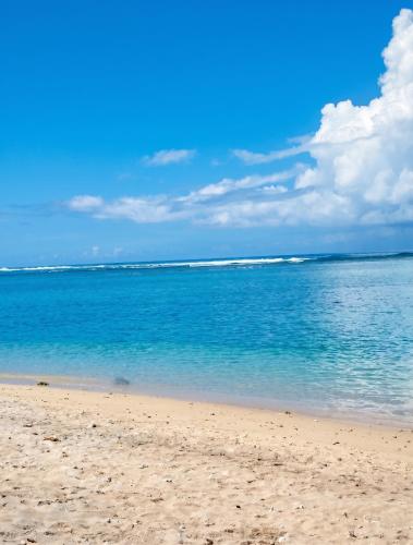 View, Studio confortable a Capesterre-de-Marie-Galante - 20 m² in Capesterre-de-Marie-Galante