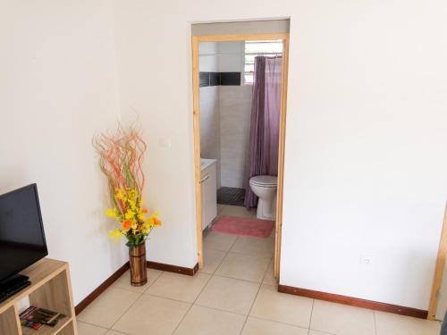 ห้องน้ำ, Bungalow cosy à Sainte-Anne avec vue jardin (Bungalow cosy a Sainte-Anne avec vue jardin) in มาเร่ เกลลาร์ด