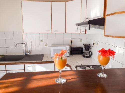 Appartement moderne à Sainte-Anne - Piscine & Jardin - 80 m² - Location saisonnière - Sainte-Anne