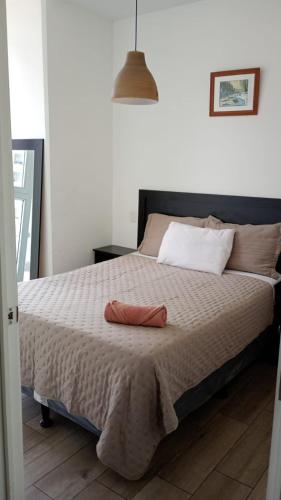 Narama 2 - Luruxy Apartment - Zona 13 de la Ciudad de Guatemala, Estación Pamplona