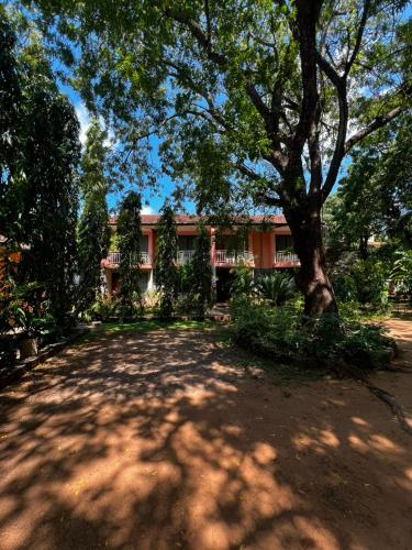 PRIMESHADE GUESTHOUSE in Malindi