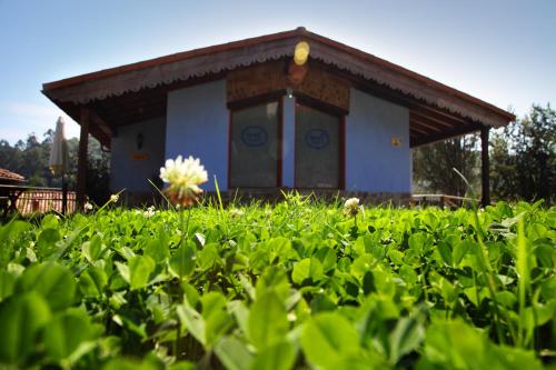 Apartamentos Rurales Fuente San Antonio in Cabranes