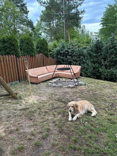 Domek rekreacyjny Hartowiec in Grodziczno