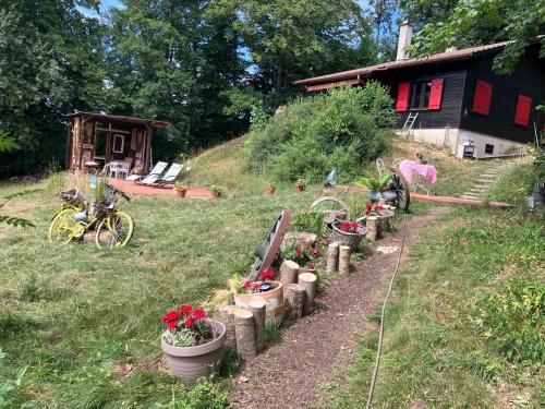 un ptit chalet in Les Brenets