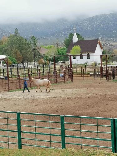 Rancho Meling Casa Felipe in Camalu